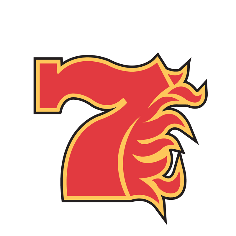 Calgary Flames Entertainment logo DIY iron on transfer (heat transfer)